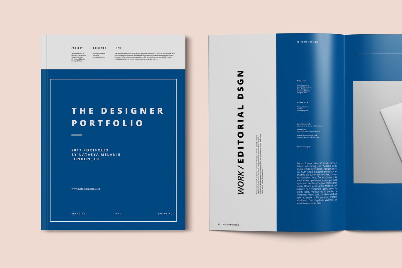 时尚简约品牌手册画册宣传册房地产楼书杂志设计画册模板