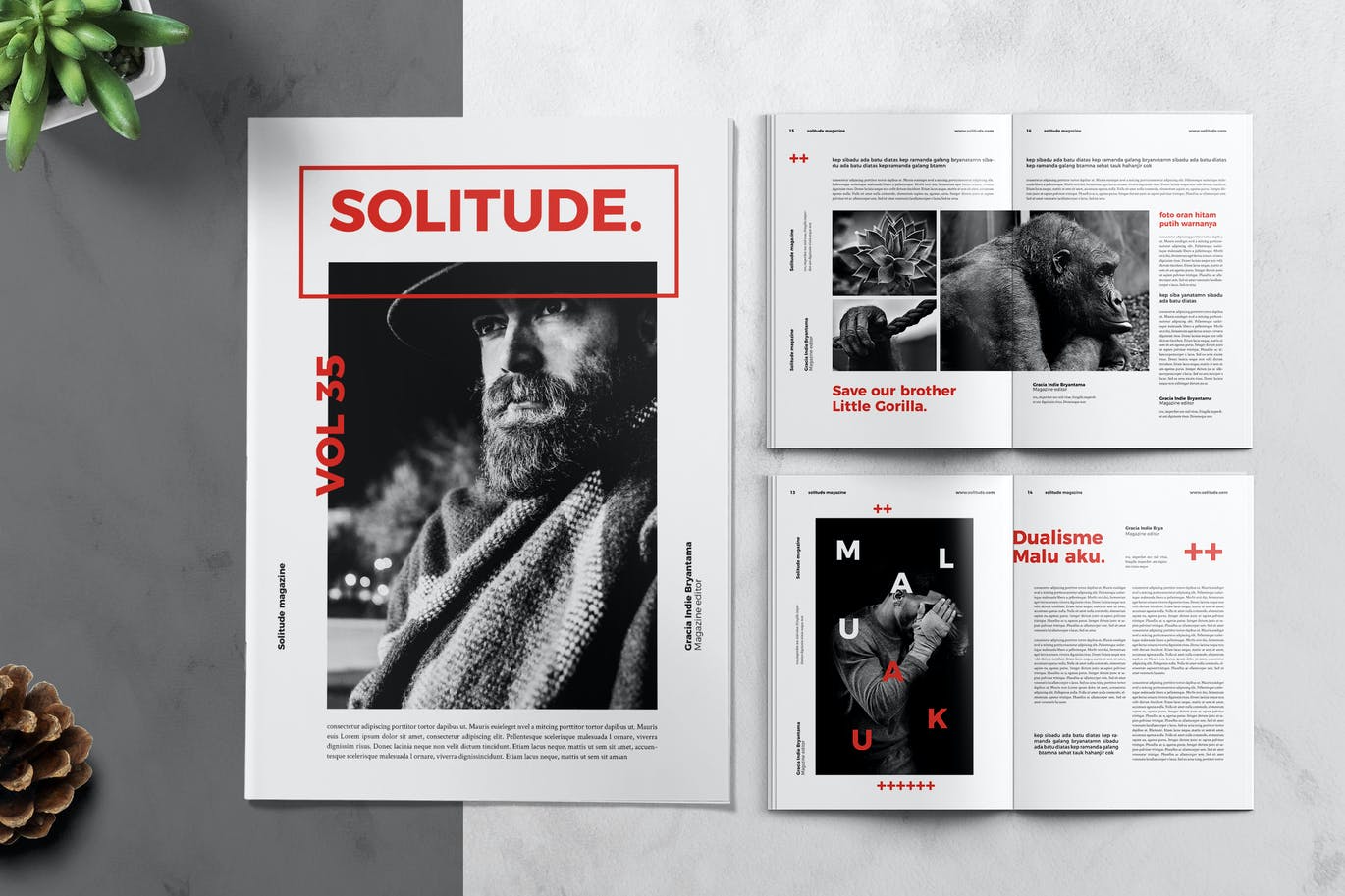 时尚高端简约瑞士风格杂志宣传册画册品牌手册房地产楼书设计模板