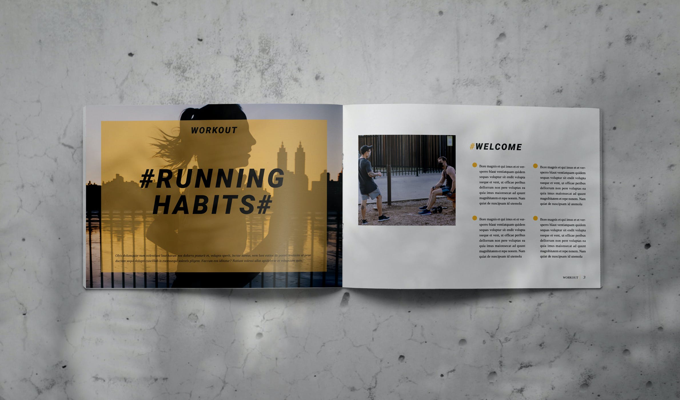 Indesign产品手册介绍模板下载（INDD）