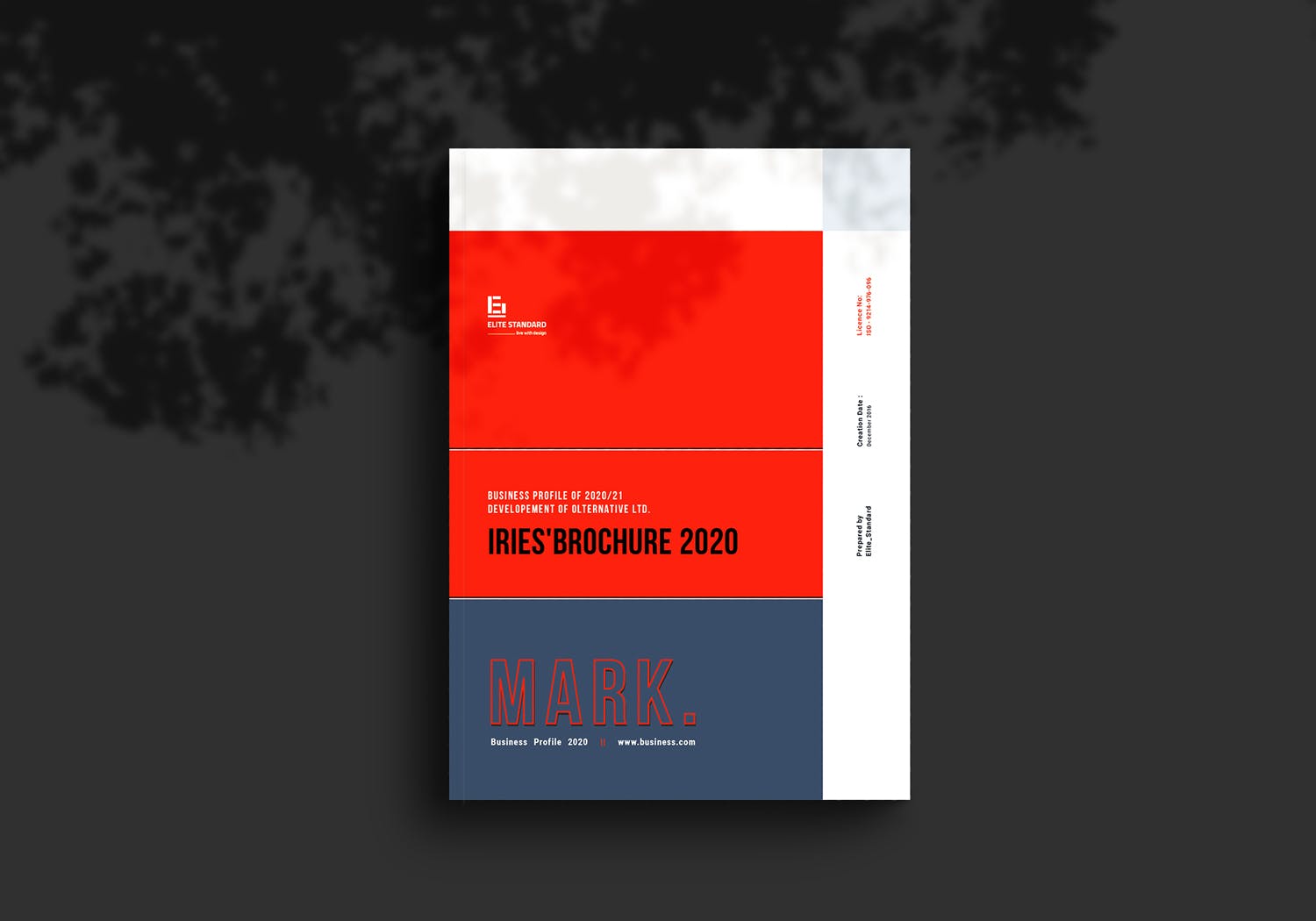 企业杂志画册设计模板下载（INDD）