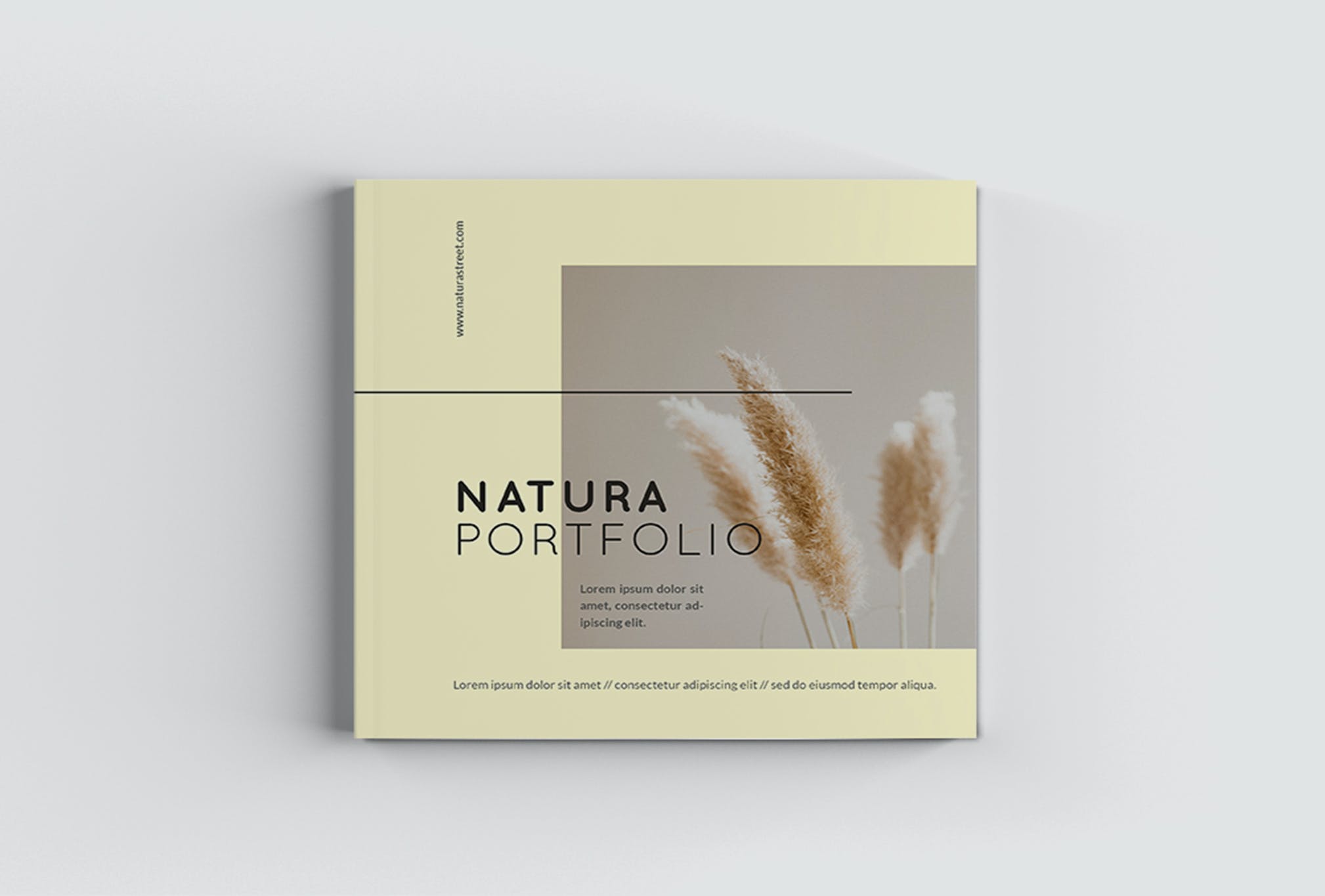 方形个人画册产品图册模板（INDD）