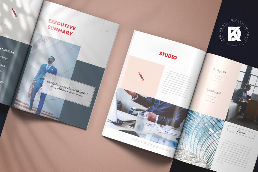 提案专用画册模板下载