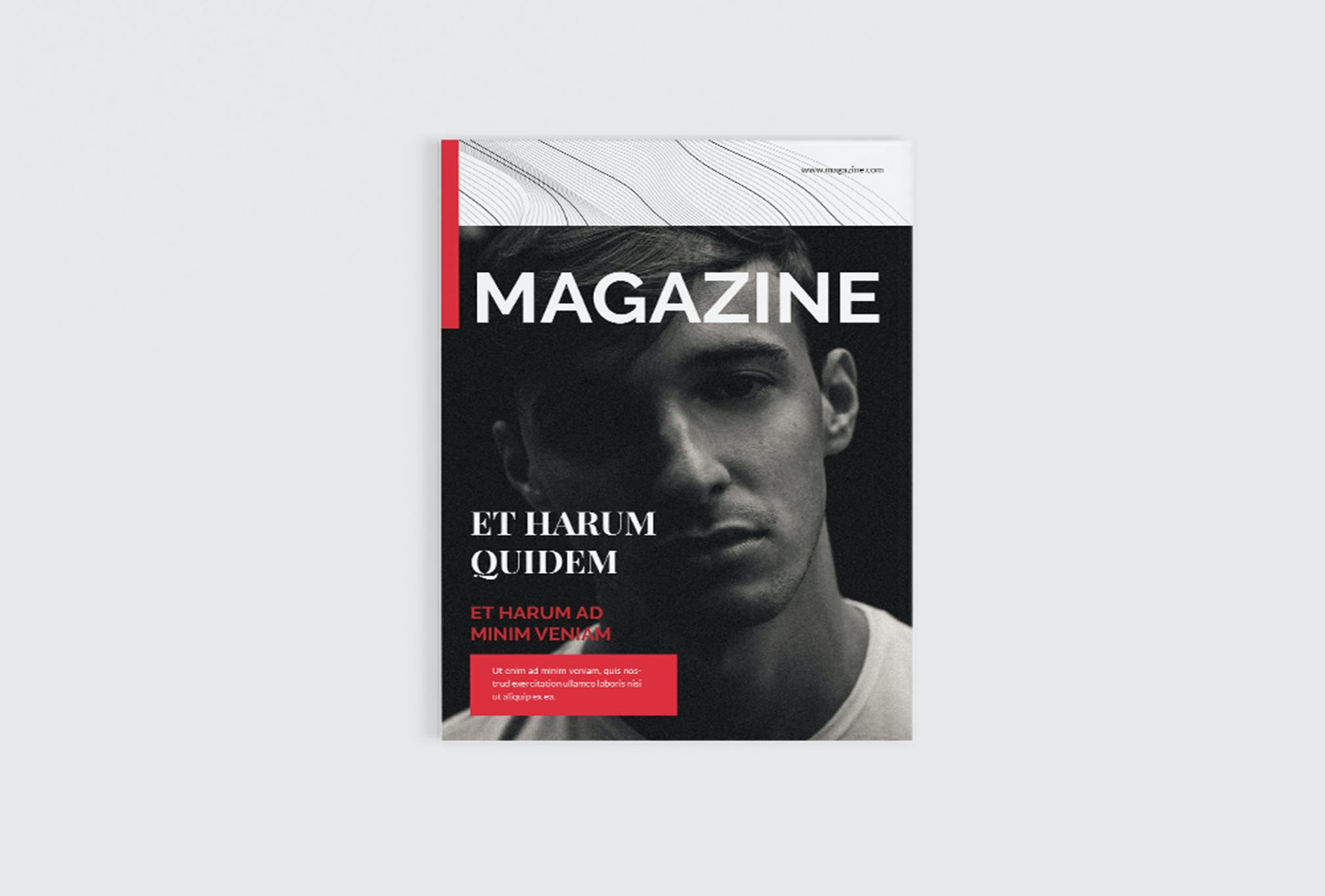 企业风云企业文化宣传杂志画册模板下载（INDD）