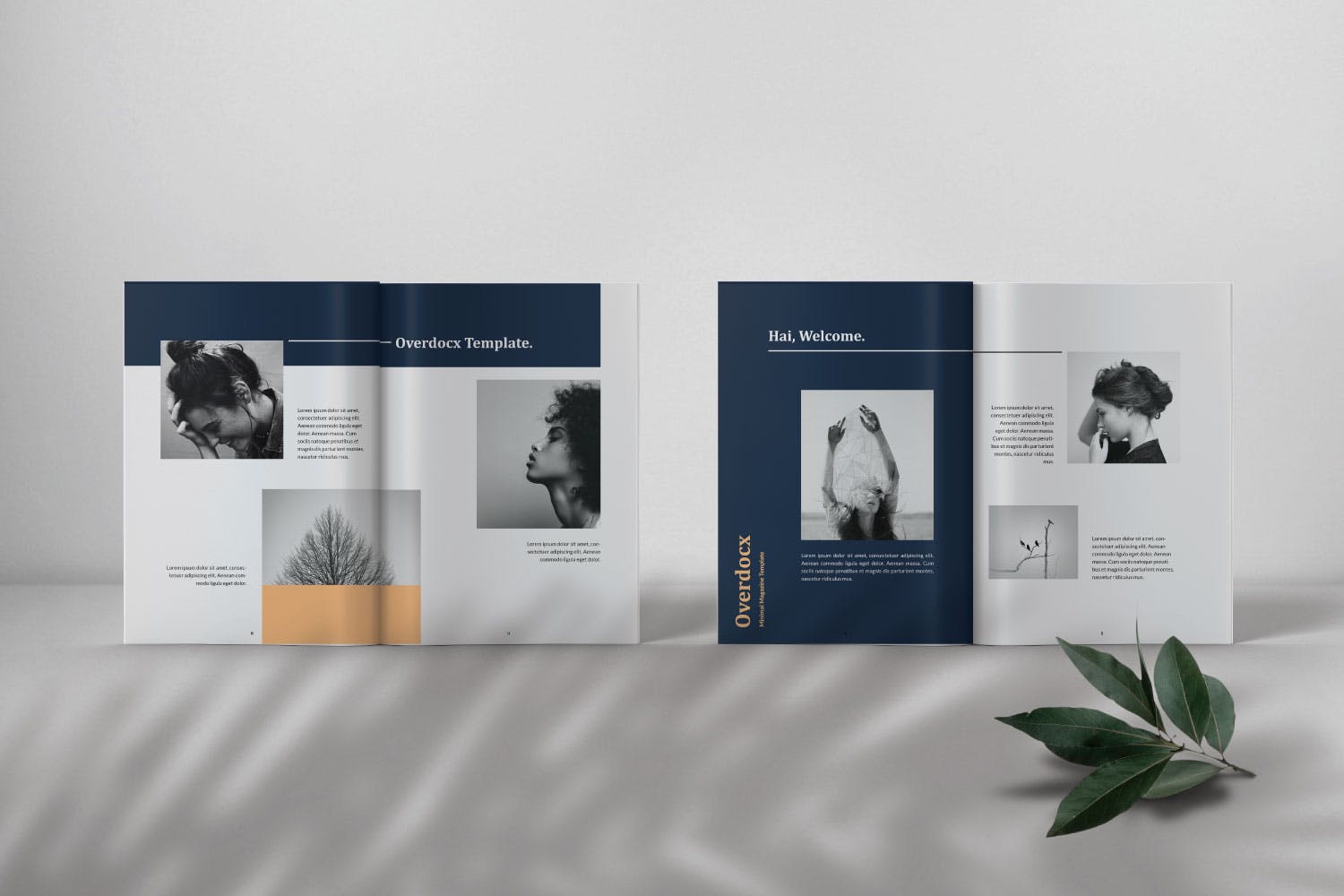 Overdocx最小库模板