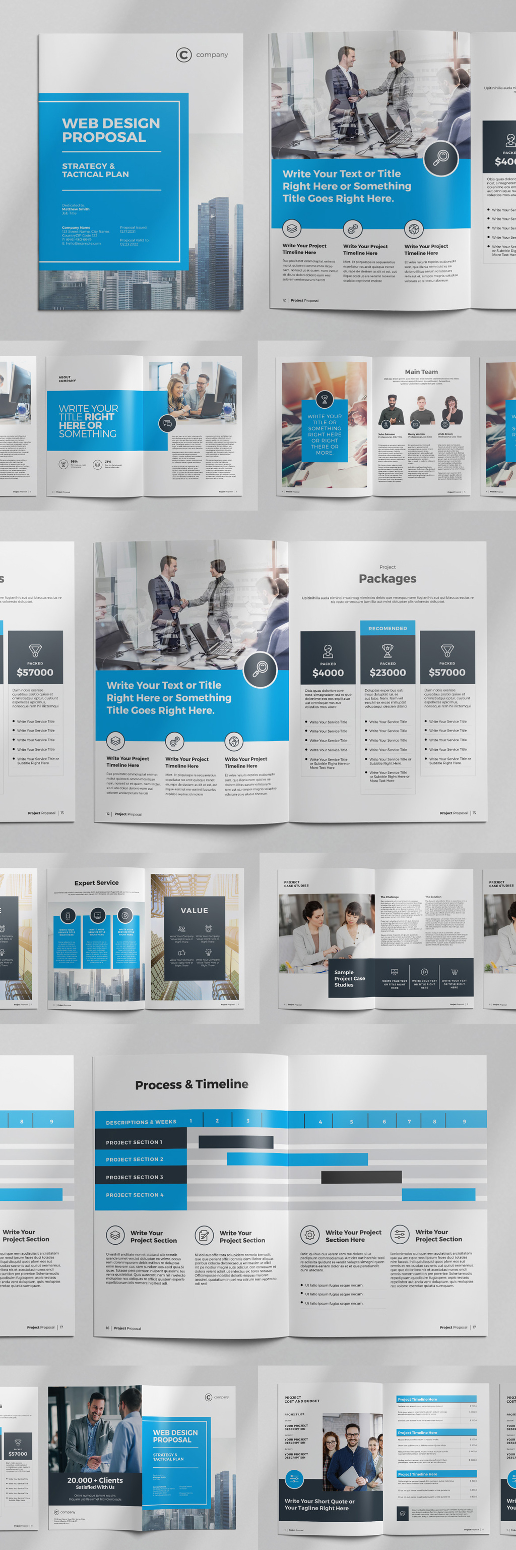 蓝色主题商业提案/企业宣传/公司简介手册模板