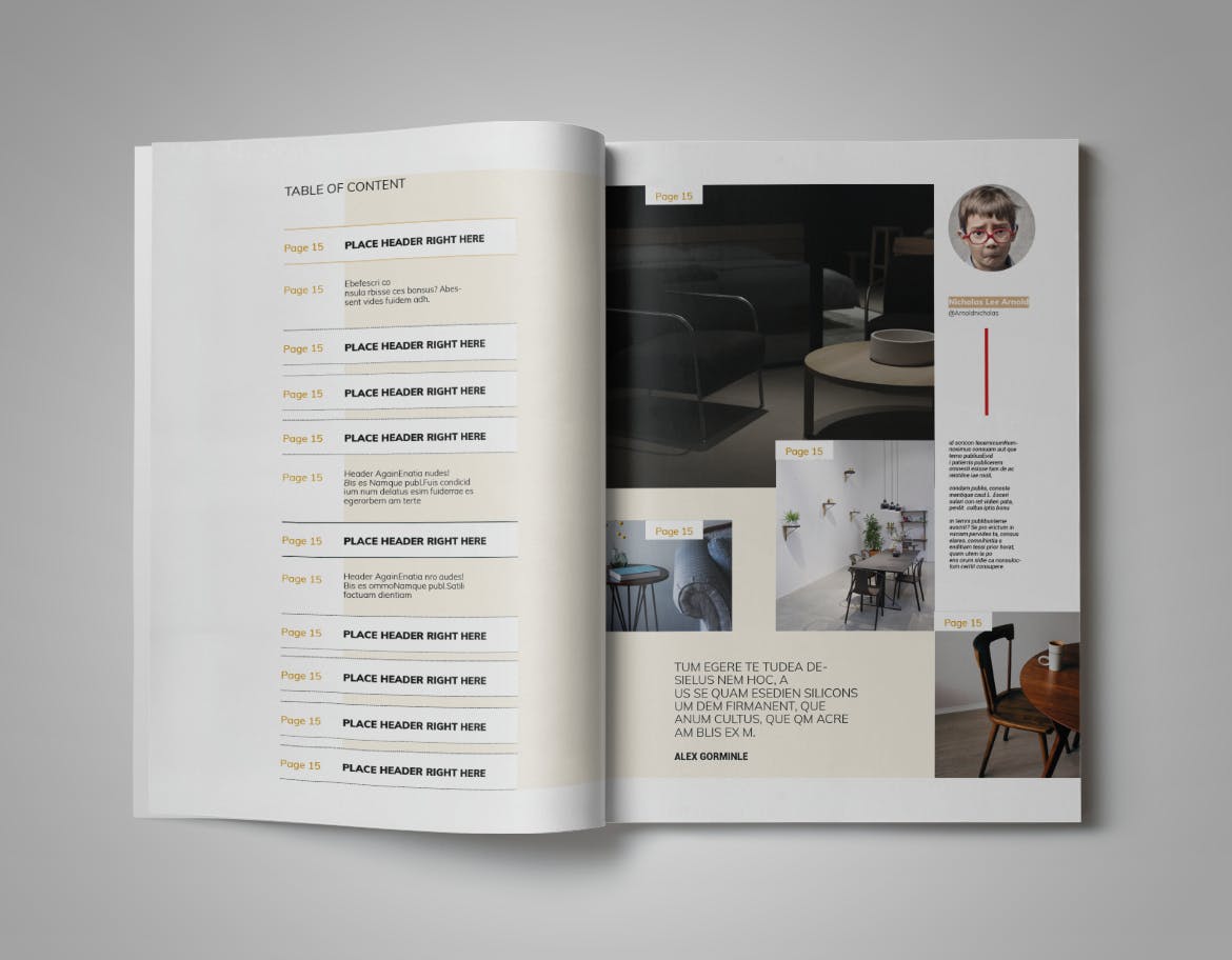 家具杂志模板下载（indd）