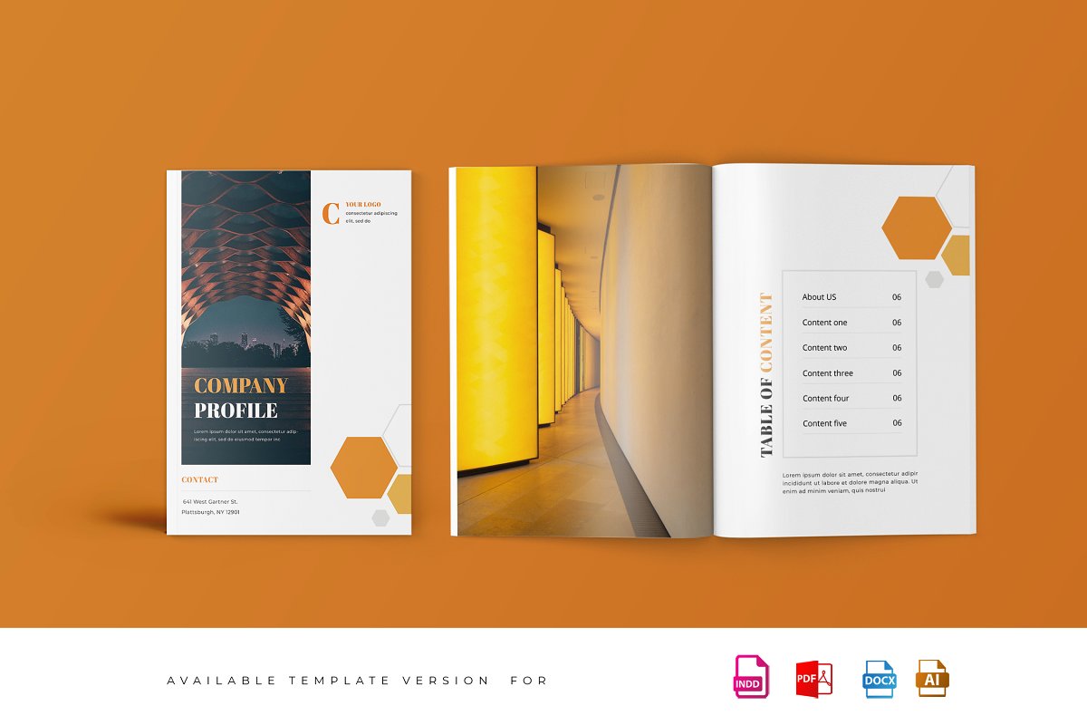 公司项目建议商业杂志设计模板