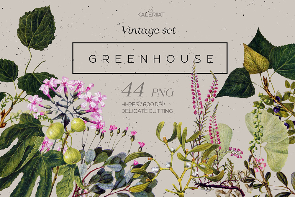 复古植物叶子&花卉手绘插画套装