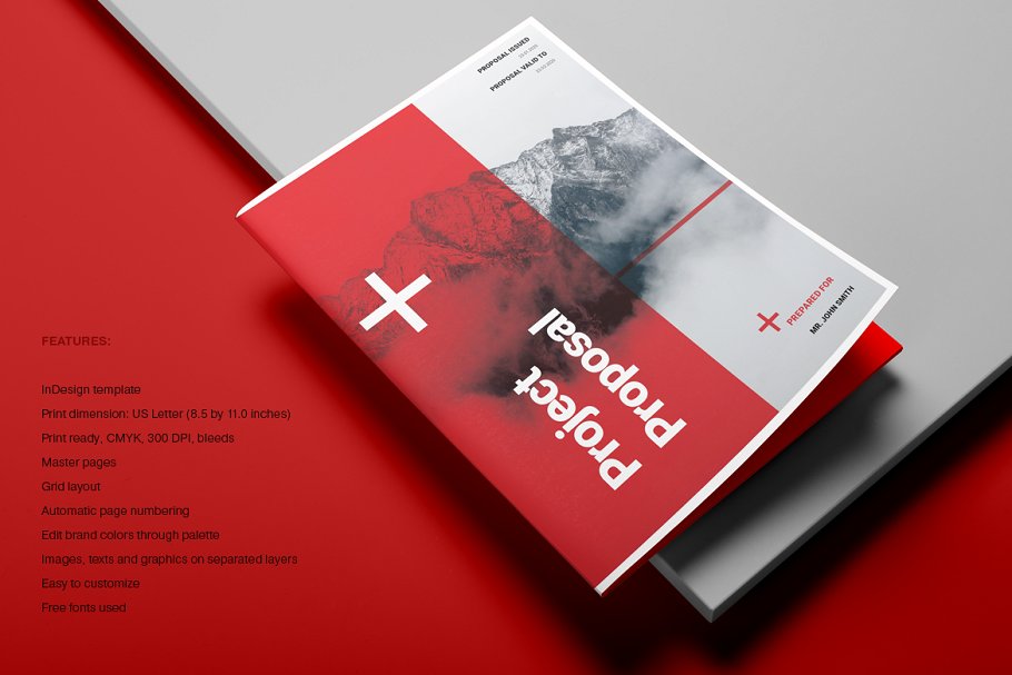 红色瑞士主题企业宣传/项目提案画册设计