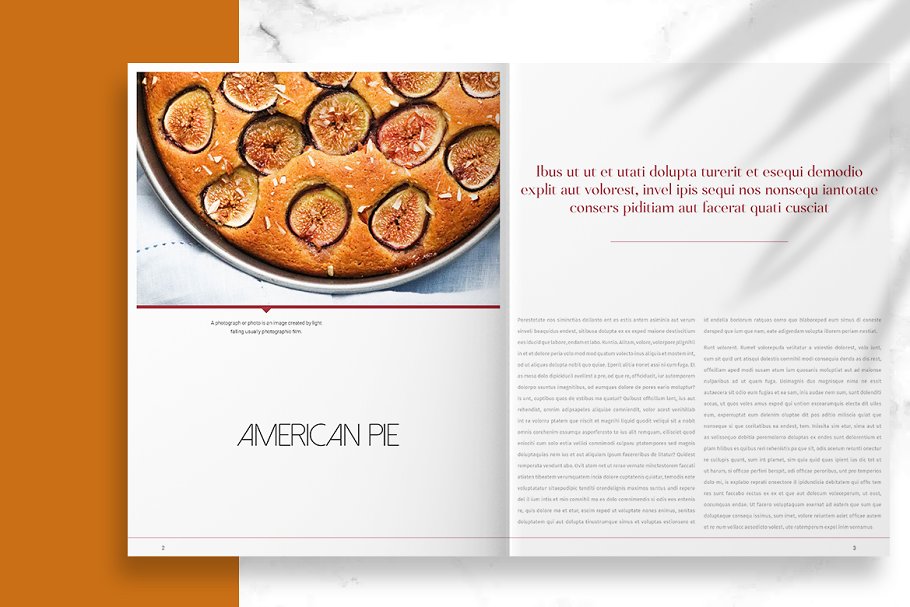 极简主义的多用途精美画册设计模板