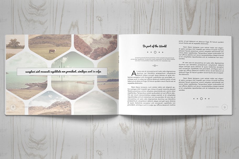 多用途画册模板 Multipurpose Clean Brochure