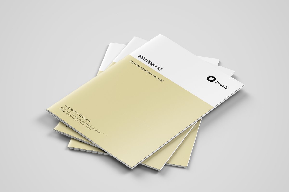 极简白皮书企业宣传册设计模板