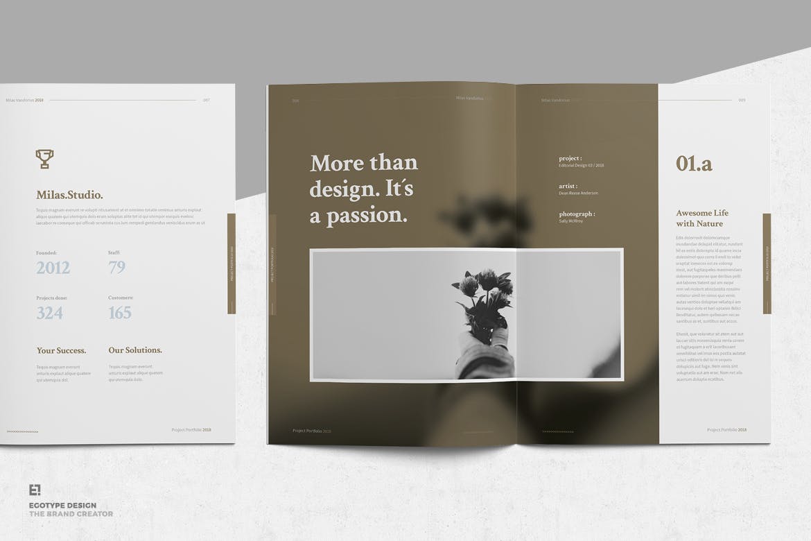 高品质的高端时尚品牌手册画册楼书杂志设计模板（indd）