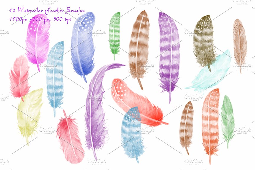 水彩羽毛笔刷素材 Watercolor Photoshop Brush Feather