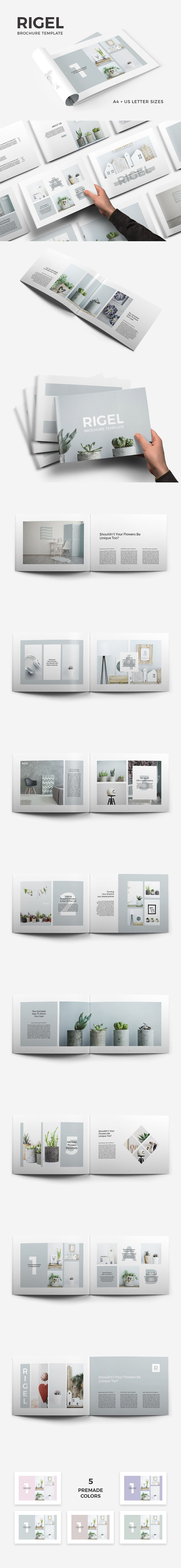 优雅的宣传画册设计模板