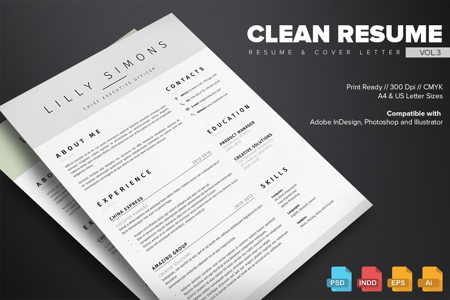 简约个人简历模板v3 Clean Resume Template Vol.3