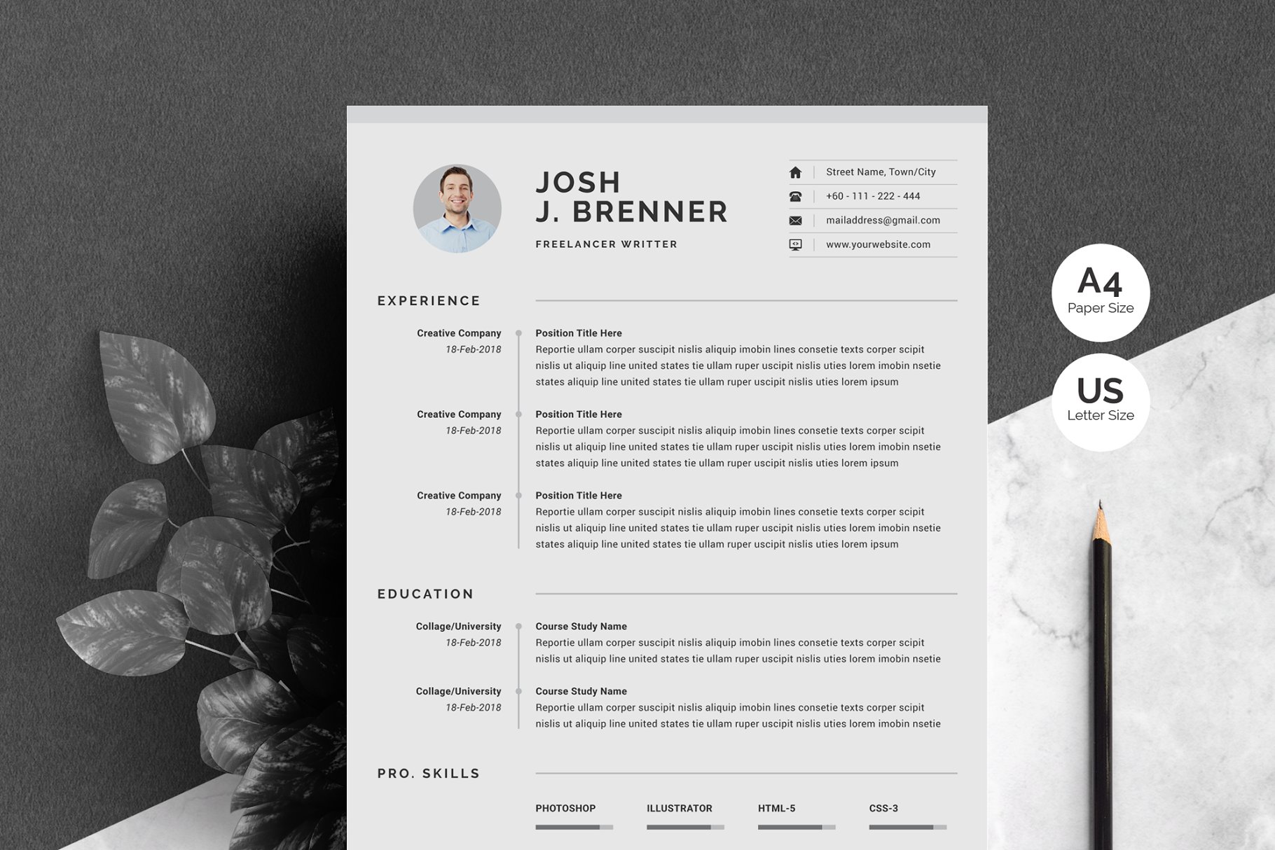 干净简历表模板 Clean CV Template