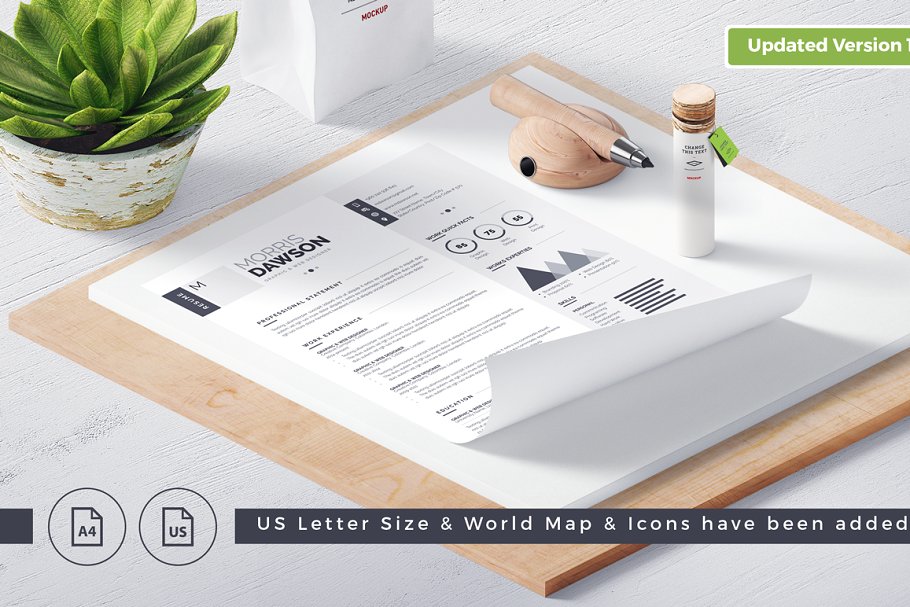 干净的信息图表简历模板 Clean Infographic Resume/CV