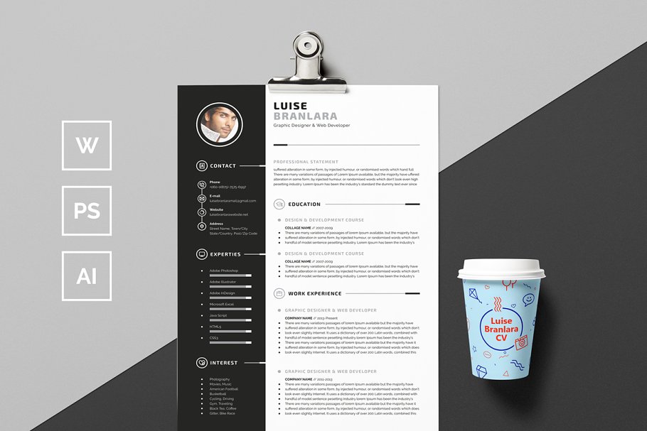 专业的简历模板 Professional Resume/CV
