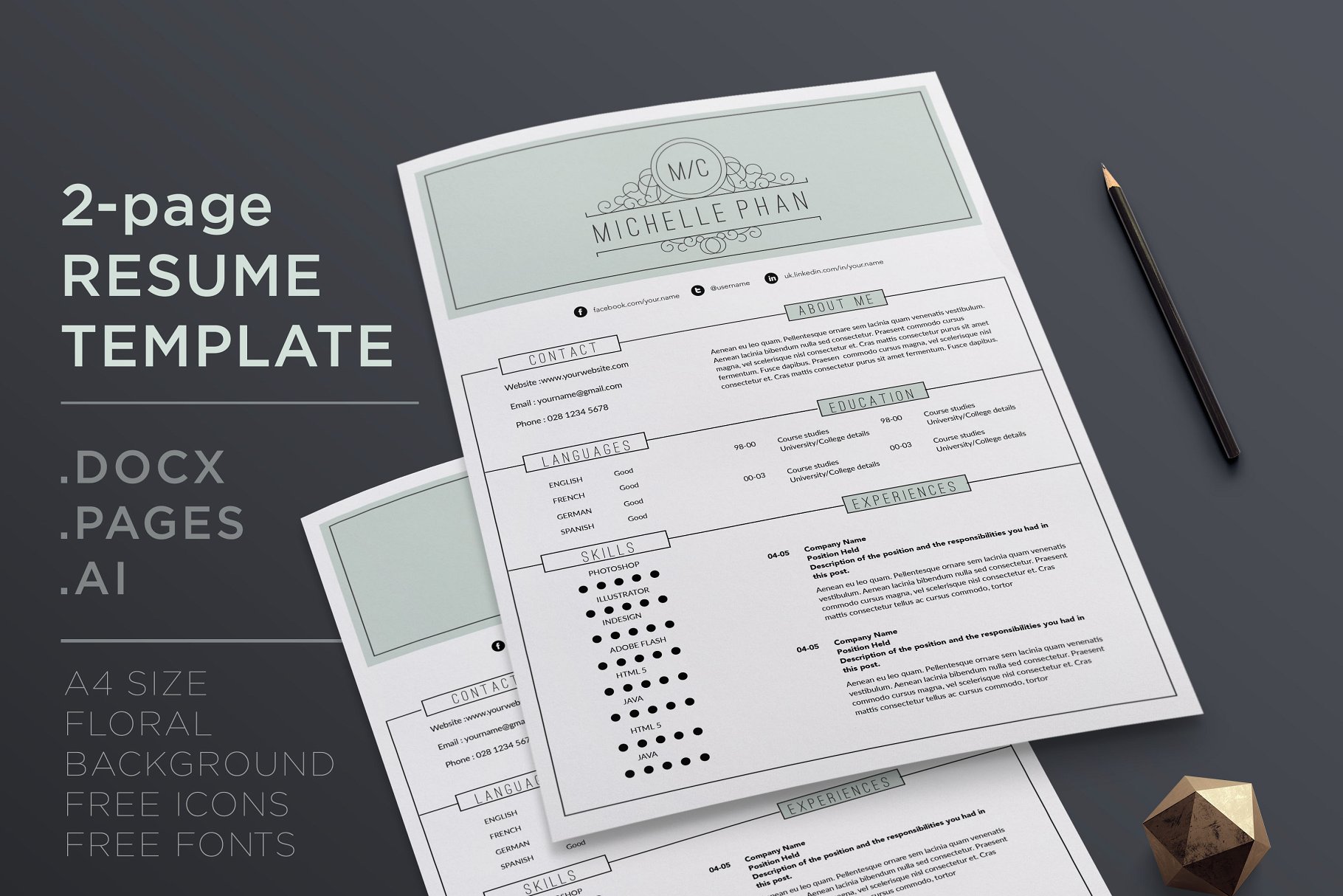 2页经典的简历模板 2 page CV template