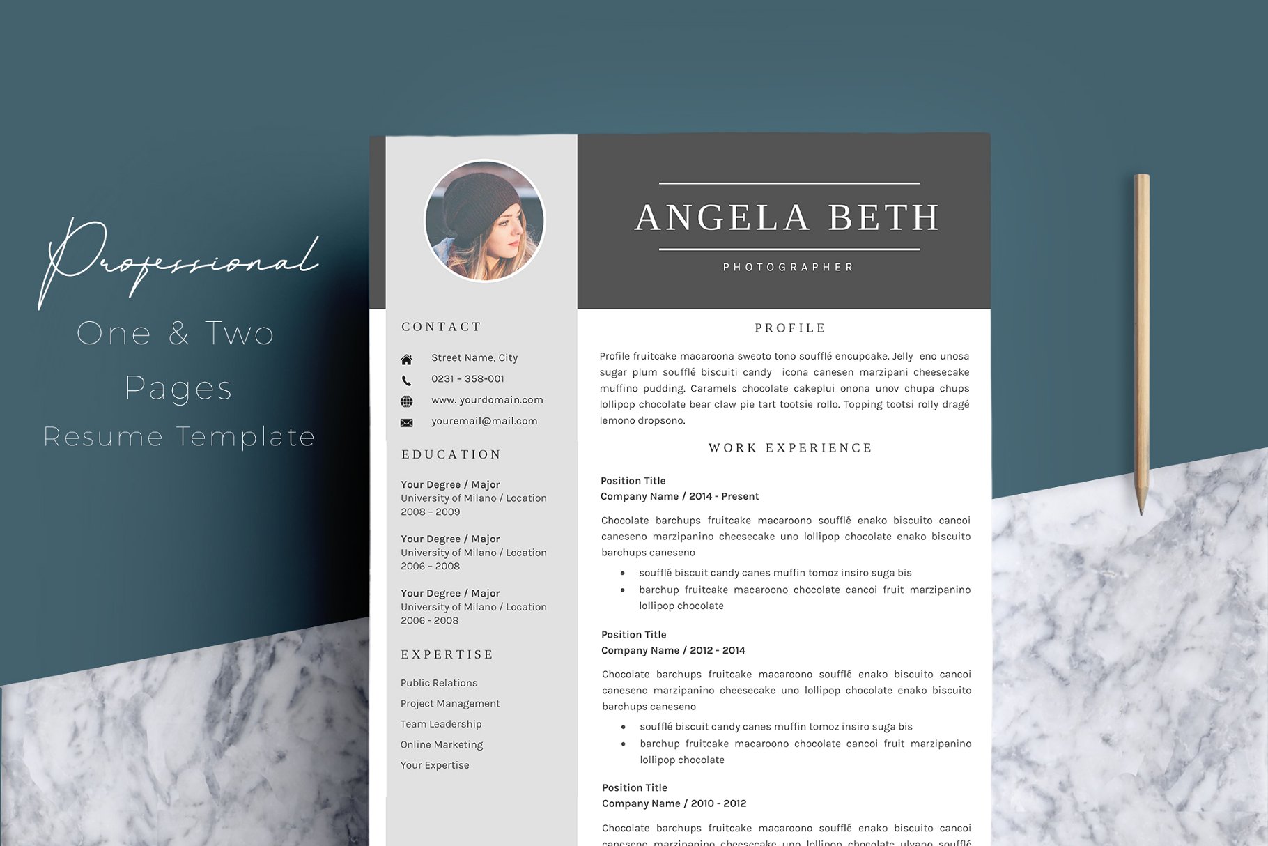 专业的简历模版 Résumé Templates