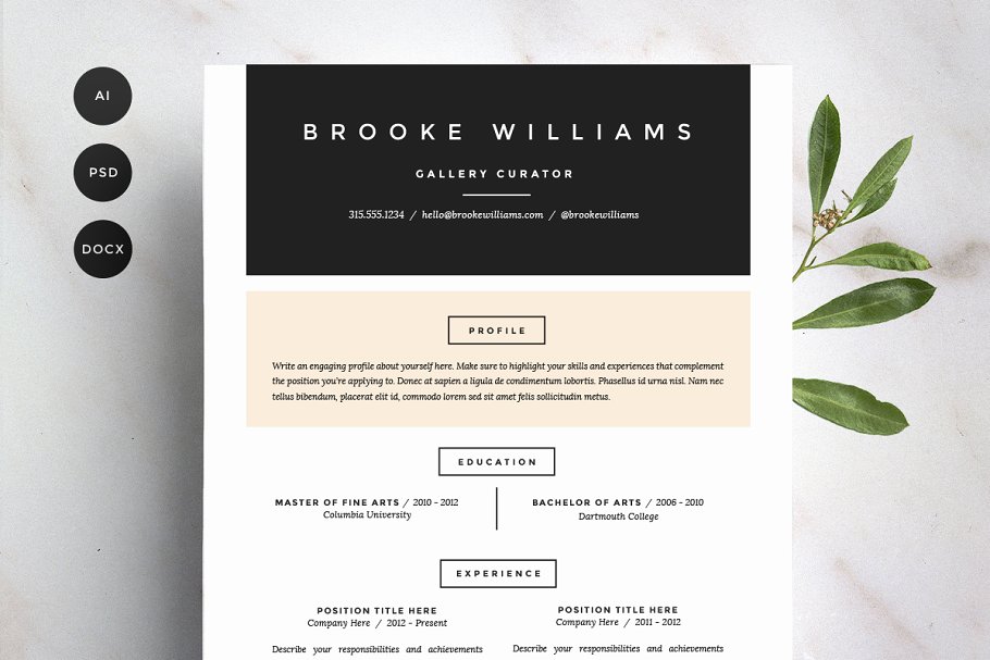 时尚简历模板 Resume Template 4 Pack | CV Template