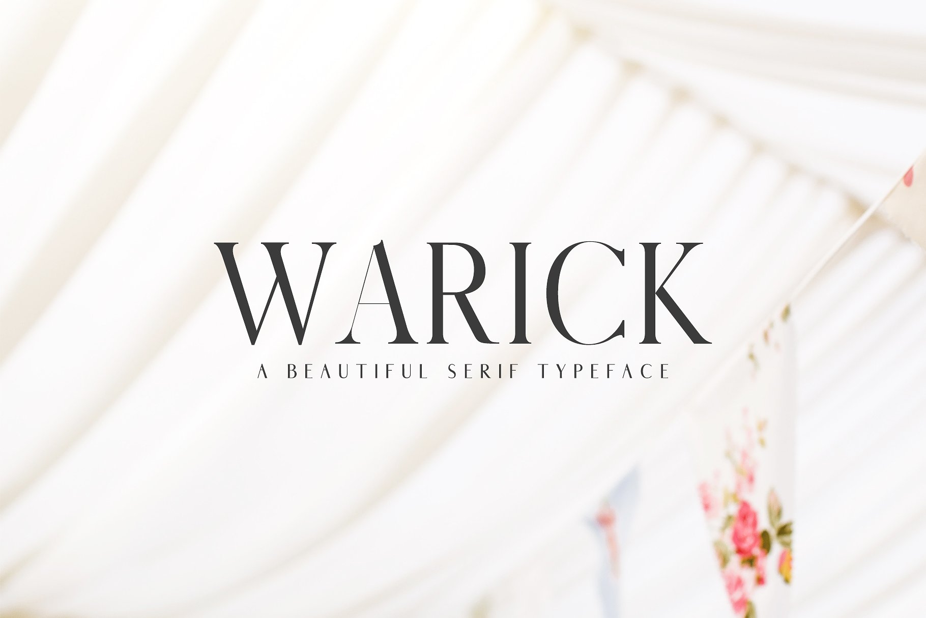 优雅时尚字体 Warick Serif Font Family