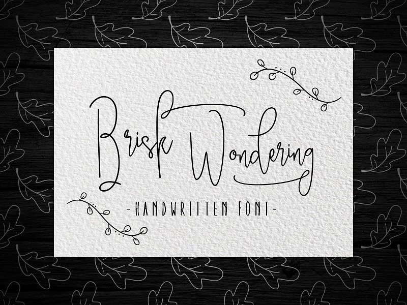 手写签名字体 Brisk wondering Handwritten Font
