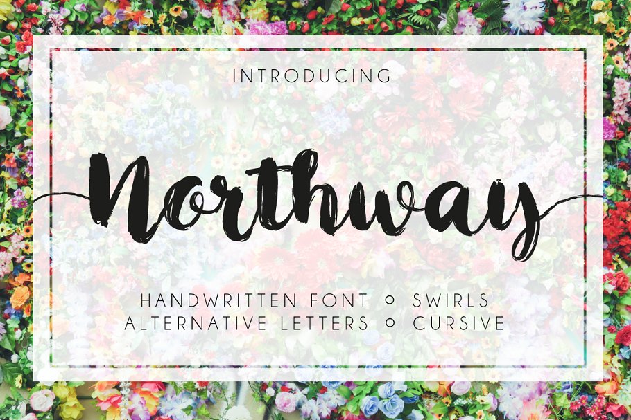 手写粗犷脚本字体 Northway Script Font