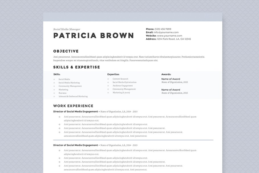 干净的简历模板 Clean Resume Template Pkg.