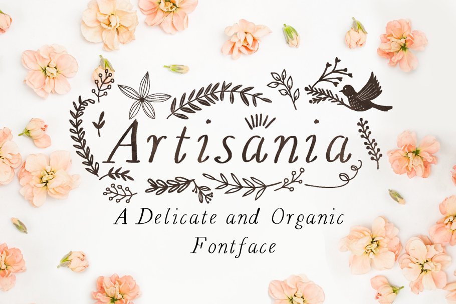 手写字体设计 Artisania Font