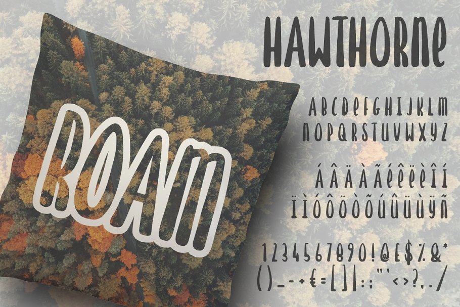 手绘衬线字体下载 Hawthorne Hand Drawn Font