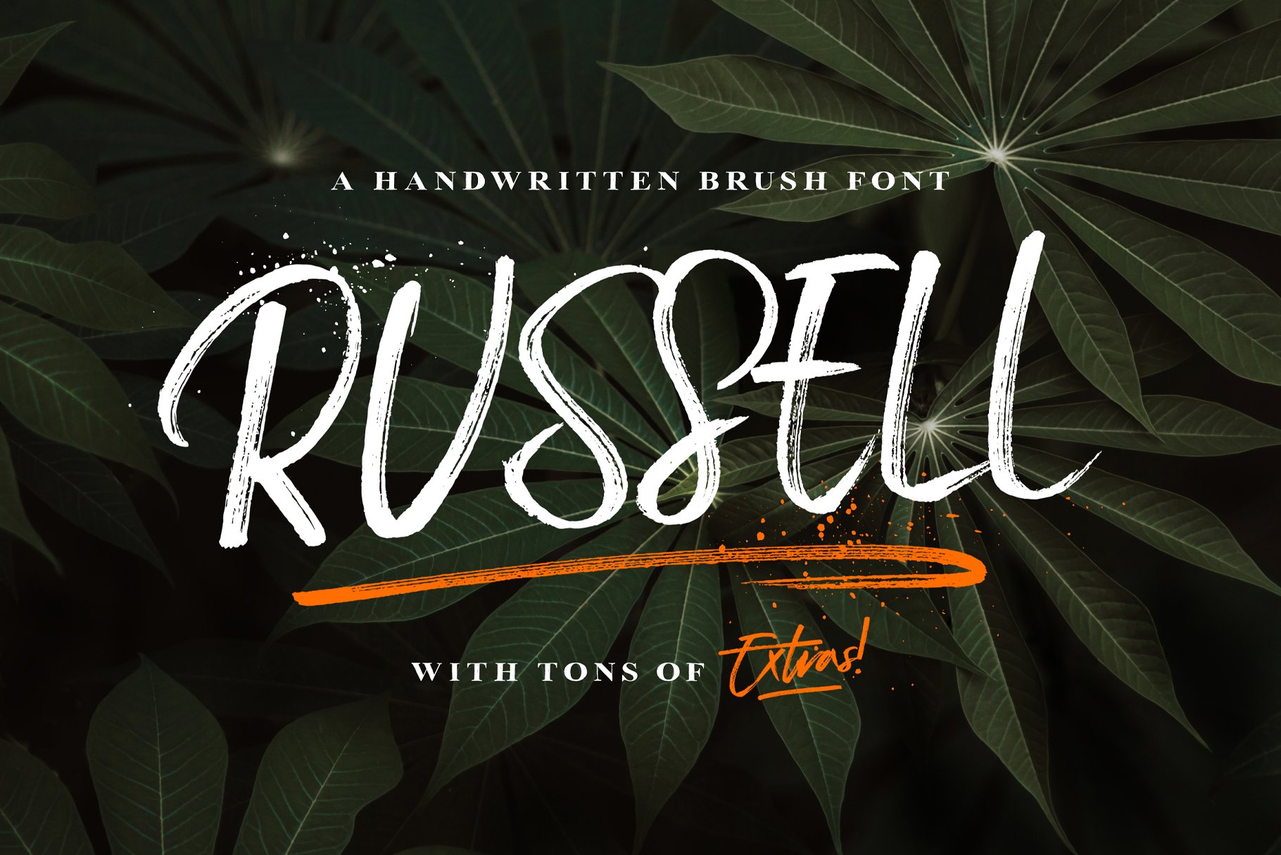 笔刷手写字体 Russell Brush Script Font