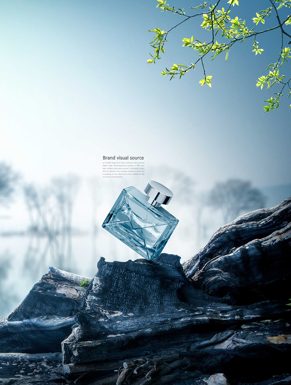 朽木元素香水品牌视觉海报设计模板