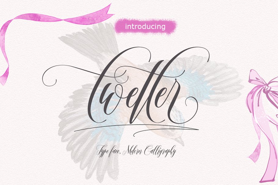 手绘字体 Twetter