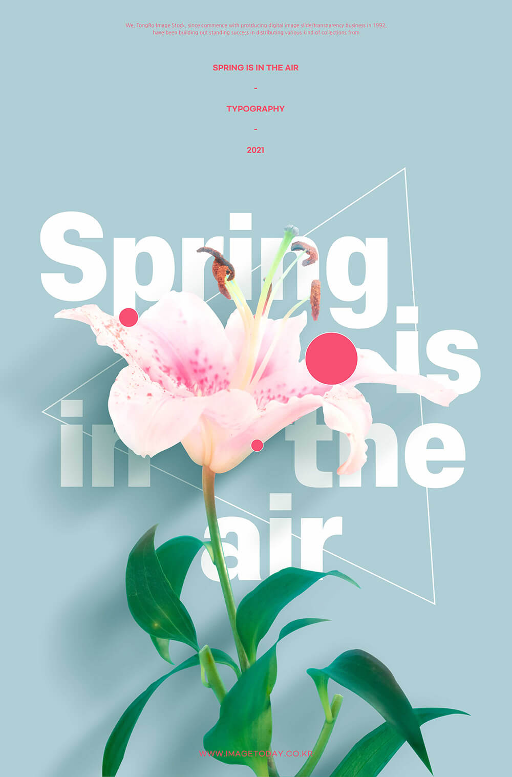 百合花朵春天海报设计素材