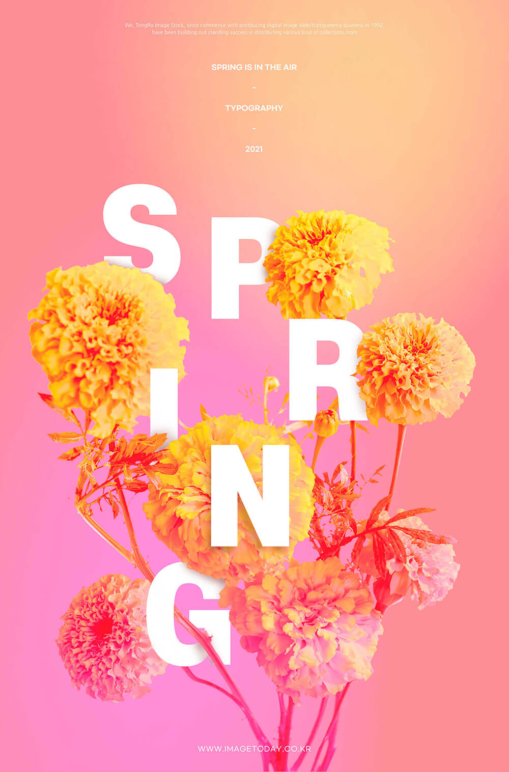 渐变柔和色球花春天海报设计素材