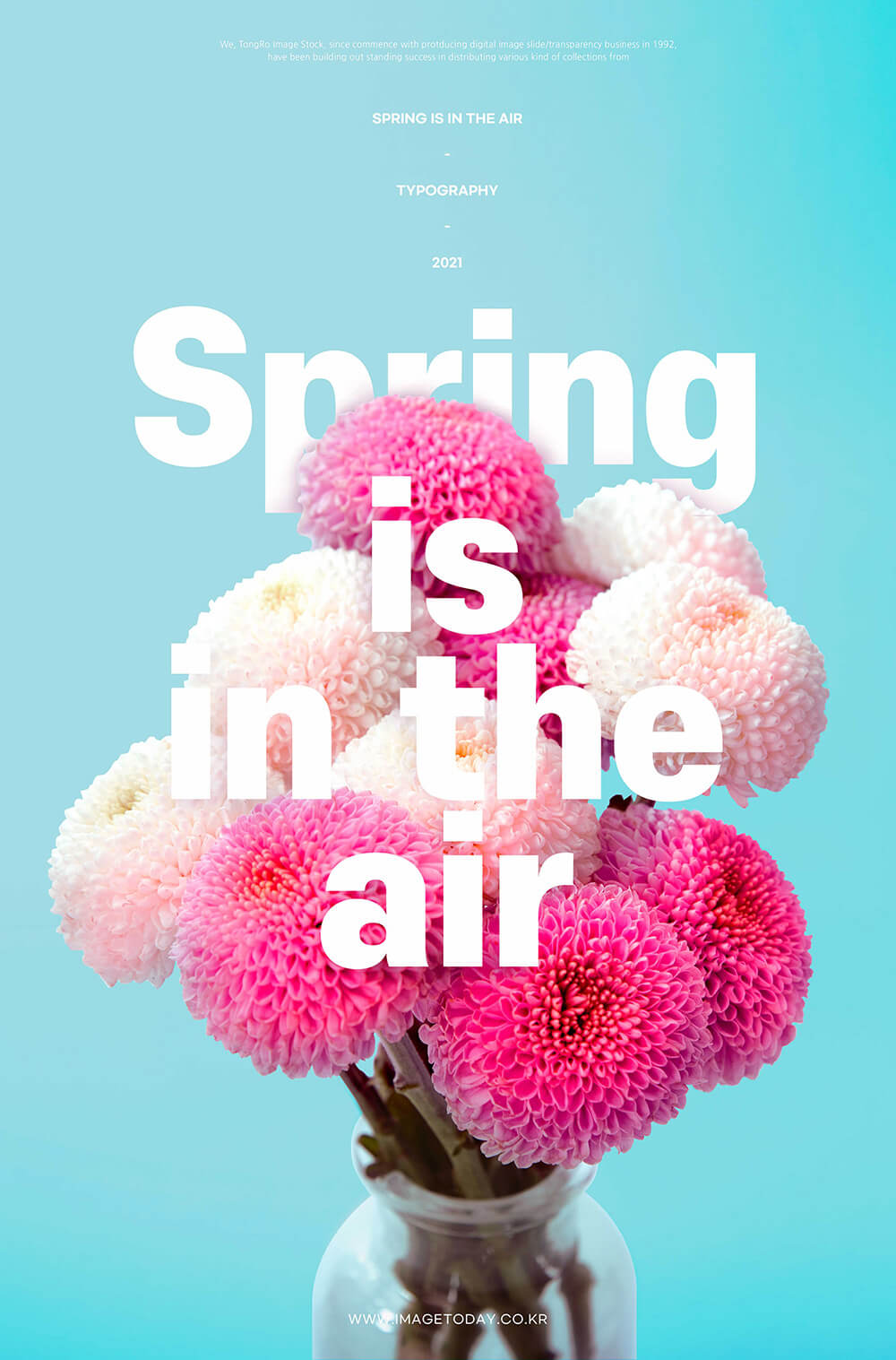 绽放花卉春天海报设计素材