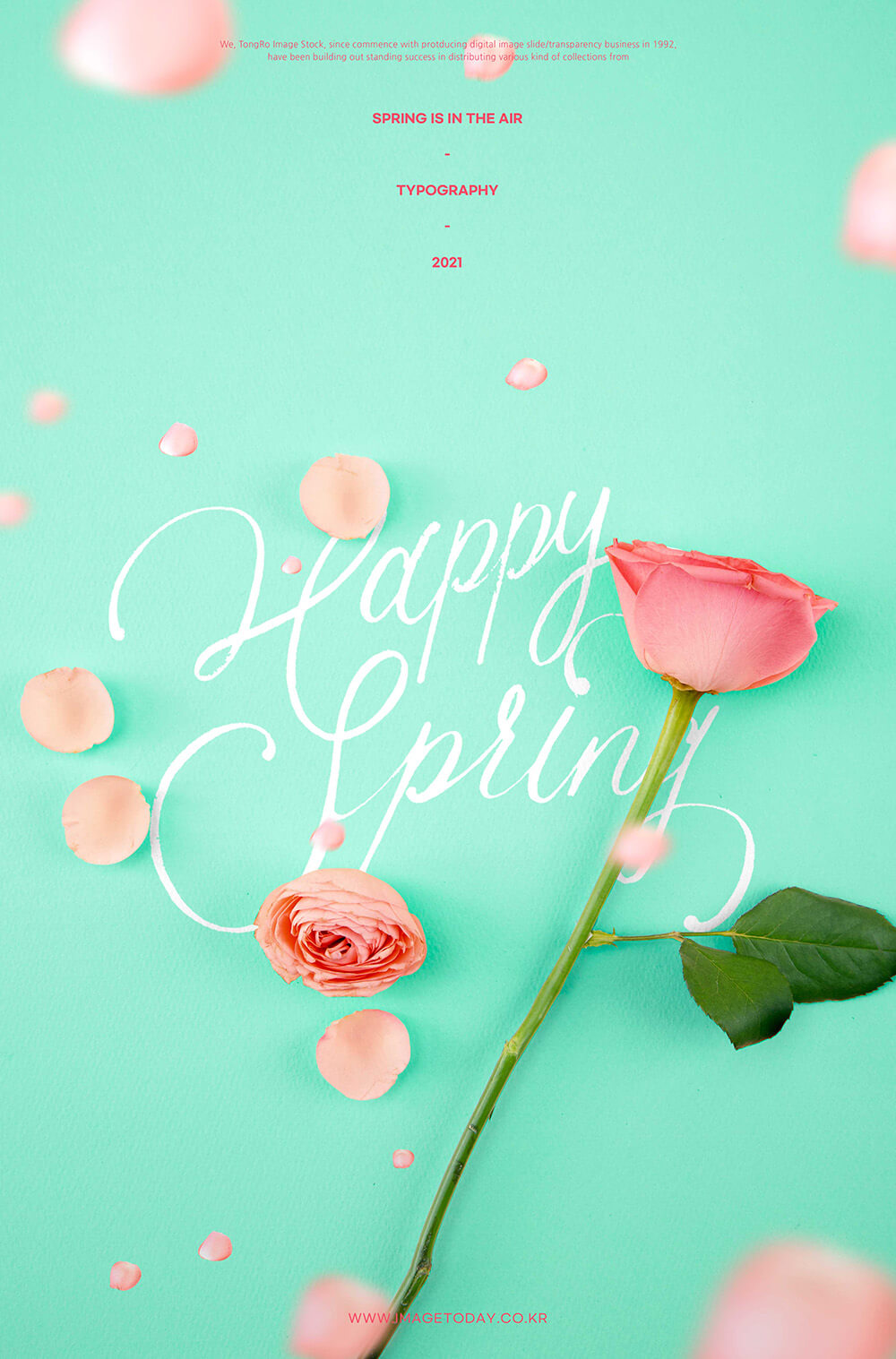 玫瑰花快乐春天海报设计