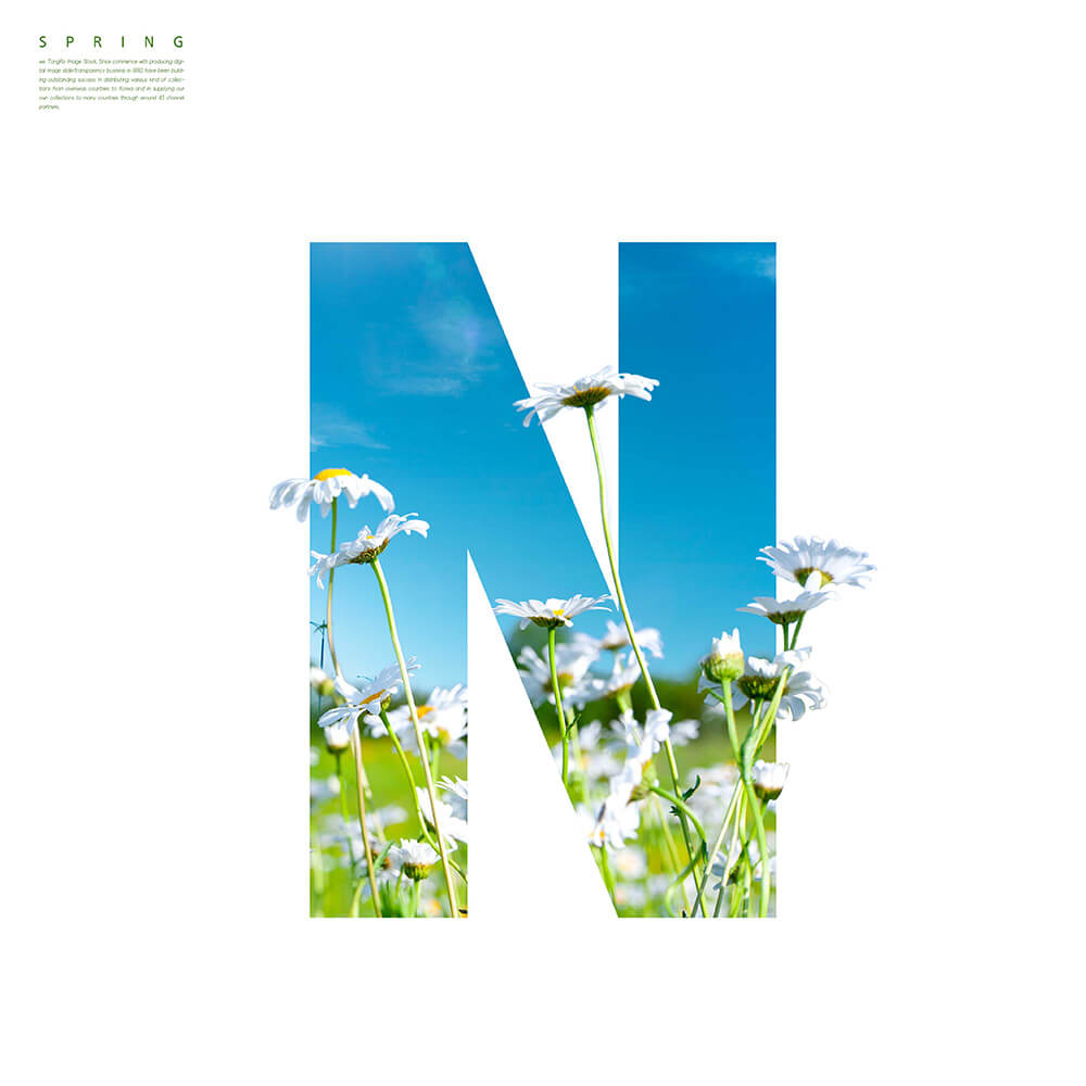 “N”字母春天春季主题海报设计素材
