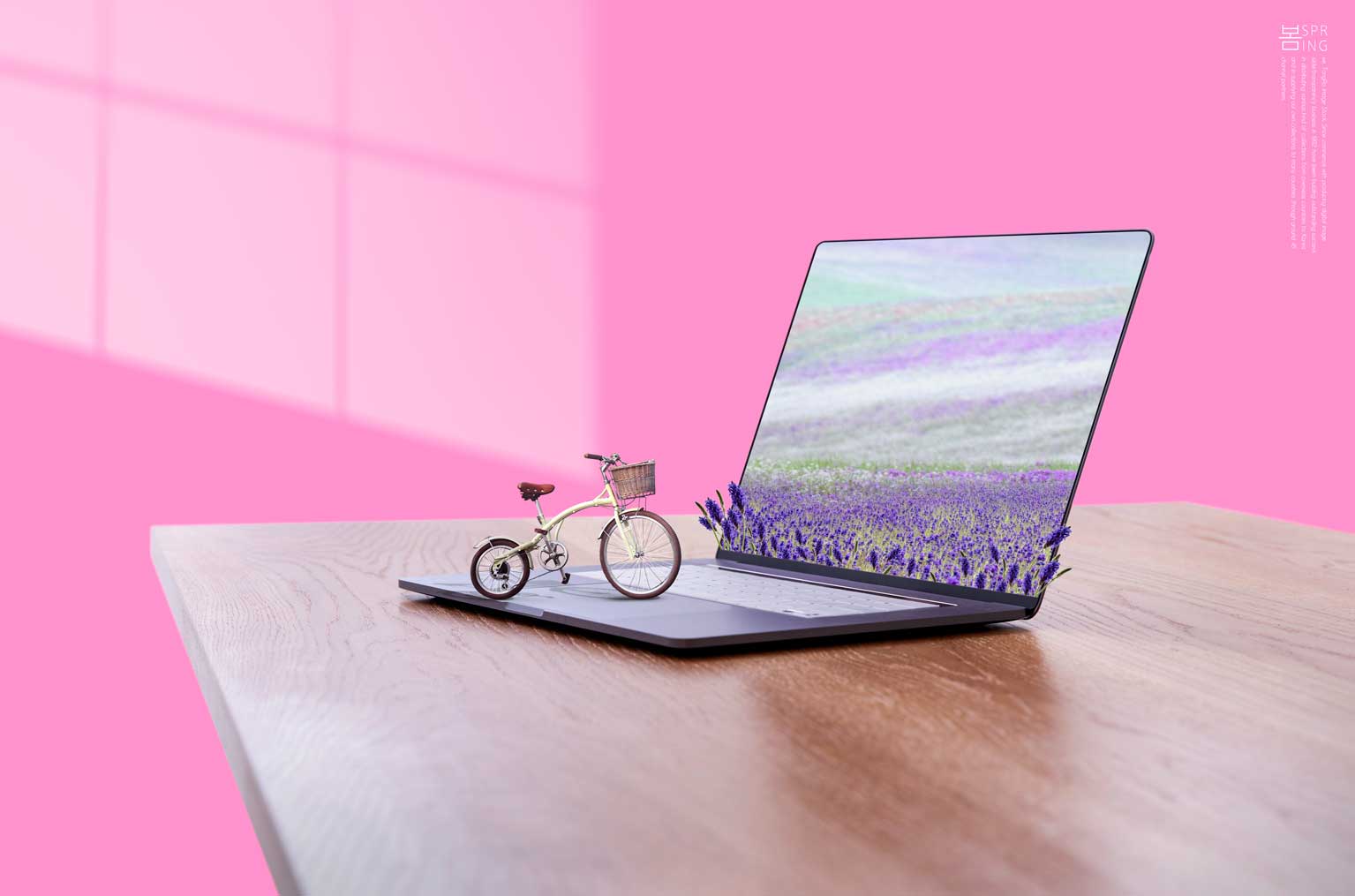 薰衣草风景自行车旅行主题海报设计