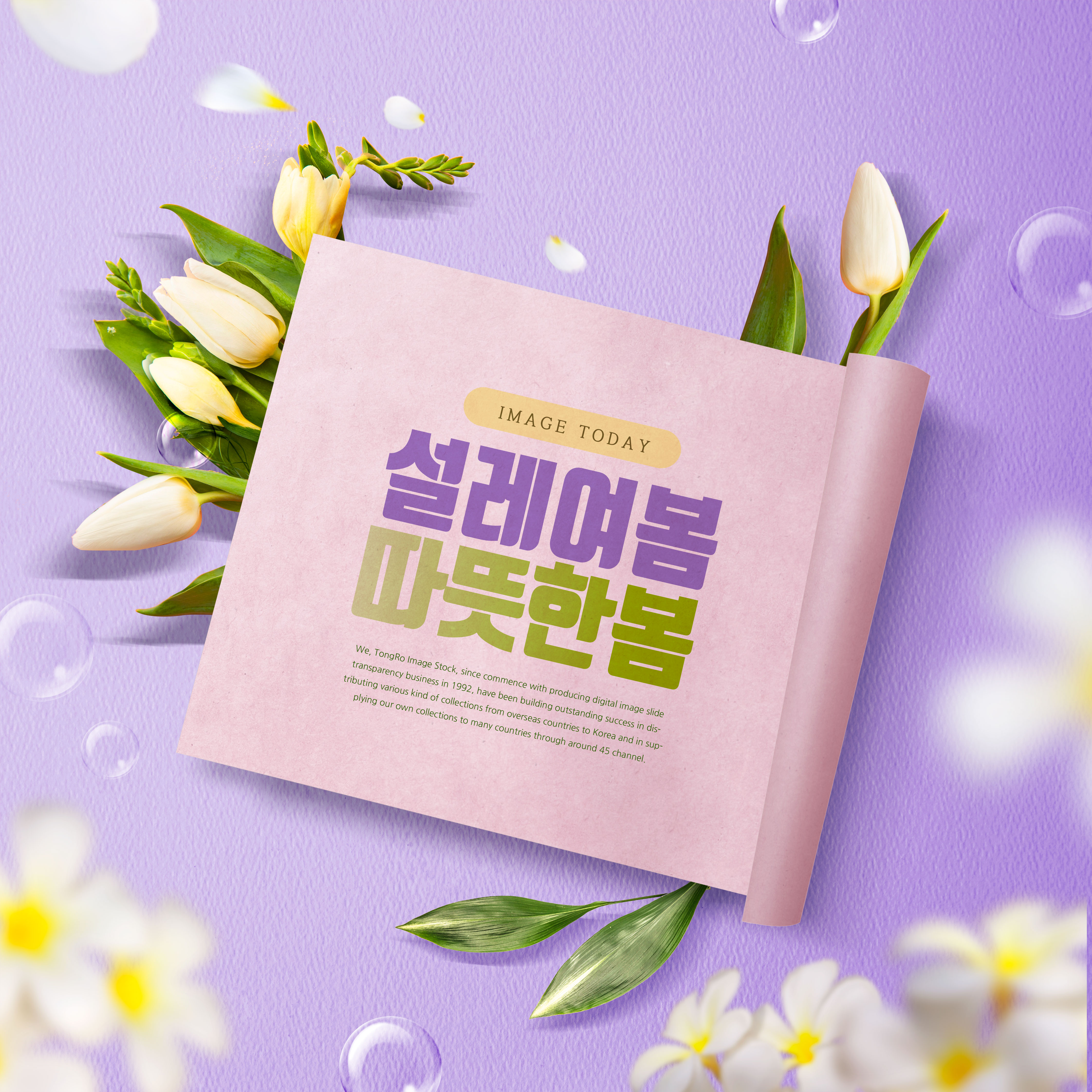 春天温暖问候紫色主题海报设计