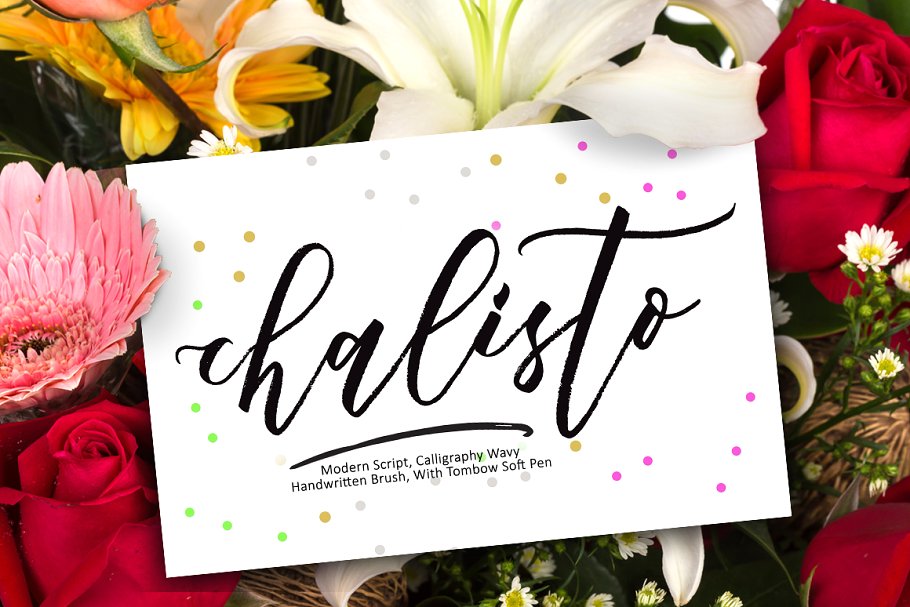 流畅手写字体 Chalisto Script