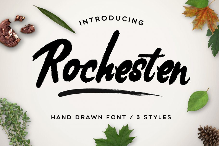 粗犷书法字体 Rochesten Font [3 Styles + Swashes]