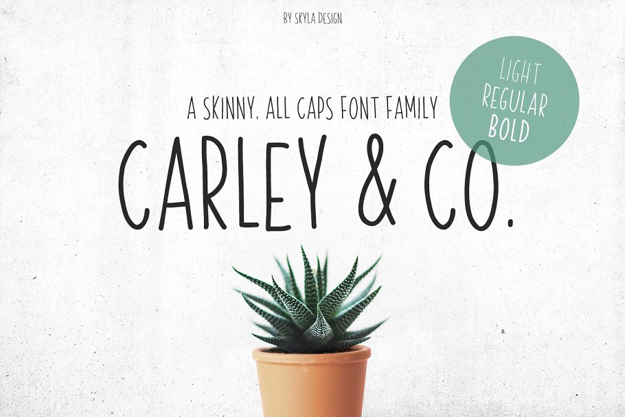 清新文艺的字体 Carley & Co. Skinny Font family