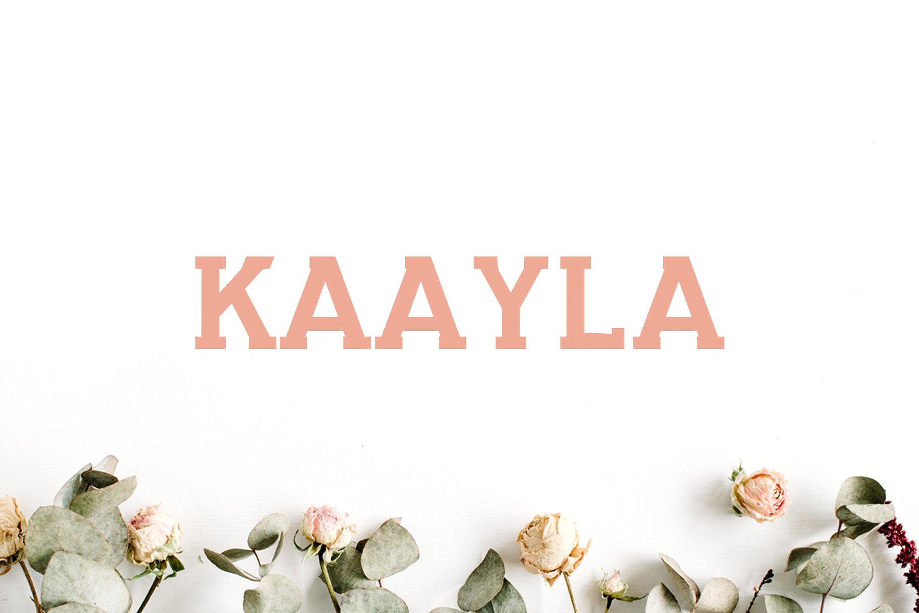 漂亮百搭字体 Kaayla Slab Serif 4 Font Pack