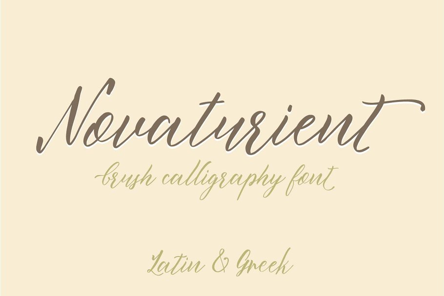 流畅的英文手写字体 Novaturient