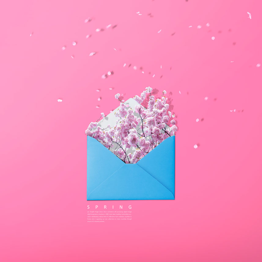 樱花信封春季概念海报设计素材