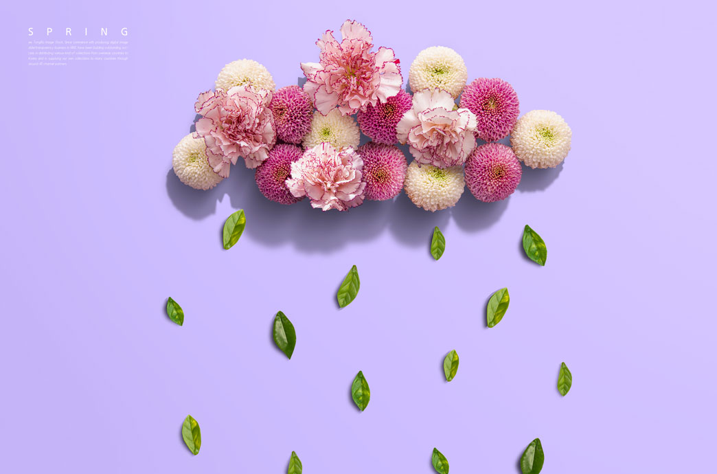 圆球花绿叶春季概念海报设计素材