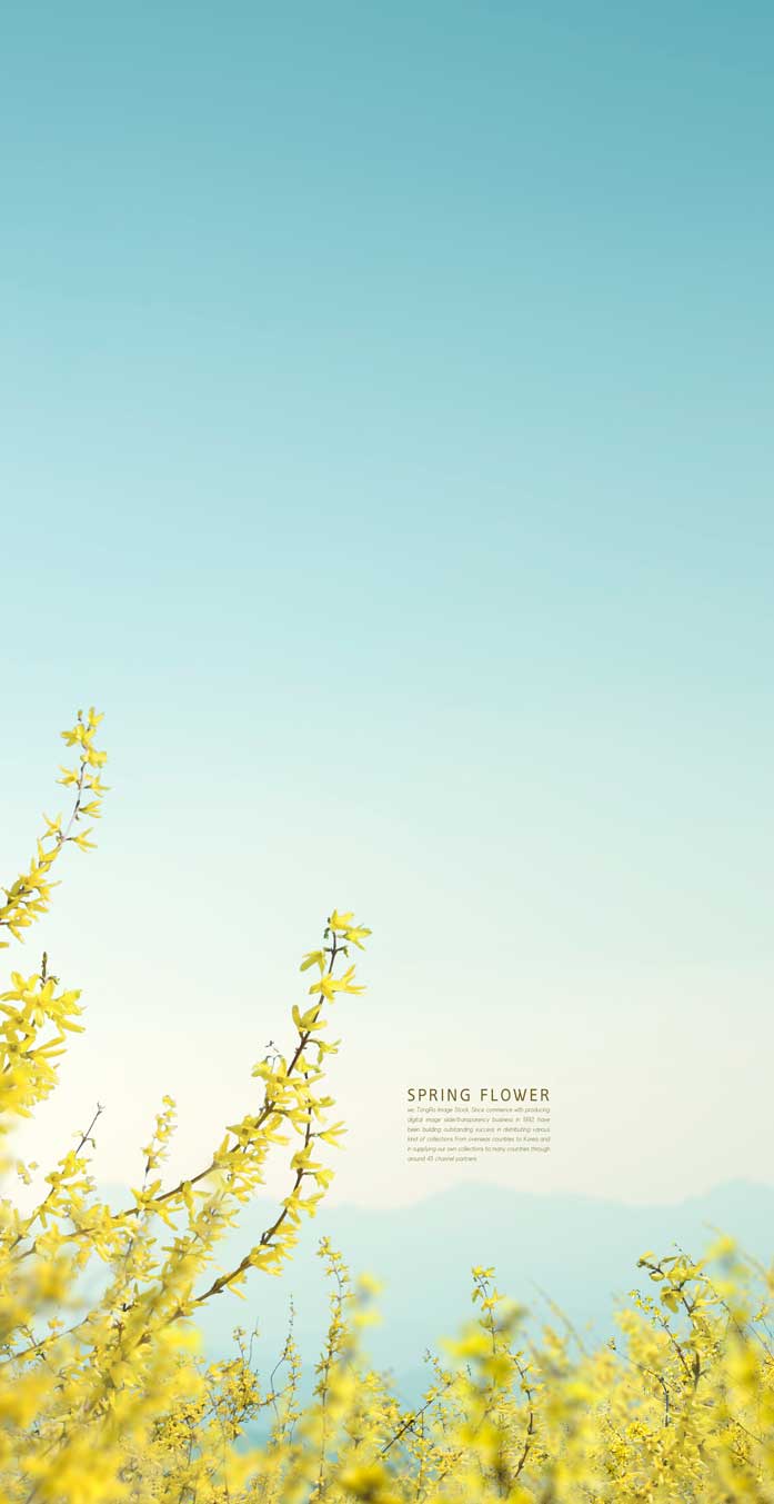 春季蓝天风景手机壁纸背景素材